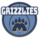 孟菲斯灰熊logo
