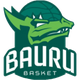 巴乌鲁logo
